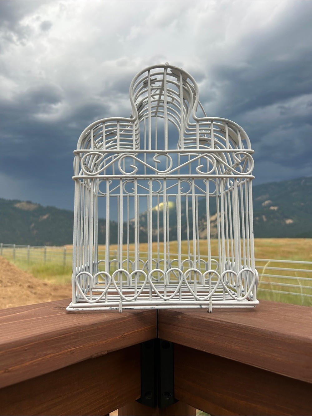 Vintage White Decorative Bird Cage Accent - Picture 3 of 8